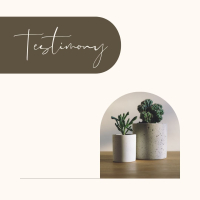 Testimony