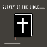 Survey of the Bible 